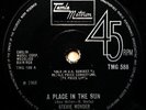 Stevie Wonder - A Place In The Sun / Sylvia (7