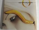 A perfect circle Thirteenth Step