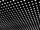Beach House: Bloom -   - (LP / B)