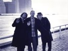 MEDESKI, MARTIN & WOOD IT'S A JUNGLE IN HERE NEW LP
