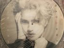 Madonna rare  picture disc lp album 