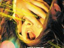 Embryonic by The Flaming Lips (Record, 2009) Blue and Yellow 2lp Open VG+