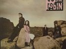 Cock Robin - Cock Robin (LP, Album)