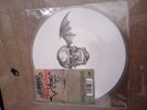 Avenged Sevenfold ‎bat country 7” vinyl limited edition picture disc 2006