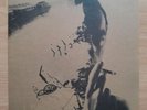 2 X LP GATEFOLD WHITE NURSE WITH WOUND THE SURVEILLANCE LOUNGE STAPLETON LILES