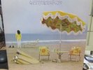 NEIL YOUNG ALBUM 