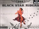 BLACK STAR RIDERS ALL HELL BREAKS LOOSE (10TH ANNIVERSARY EDITION) DOUBLE LP VIN