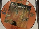 Slayer signed Hell Awaits Limited Edition picture vinyl