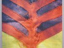 Yeah Yeah Yeahs - Show your bones - LP