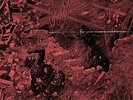 Integrity | Red Vinyl LP | Systems Overload  | RELAPSE