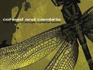 Coheed and Cambria | Translucent Black Vinyl LP | The Second