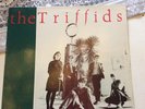 The Triffids - Treeless Plain - Rare Vinyl Hot 1003 FREE P&P