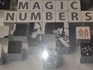 The Magic Numbers Vinyl (2023 press)