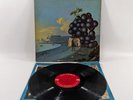Original 1968 Moby Grape WOW LP Vinyl Columbia Records CS-9613