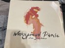 Widespread Panic Free Somehow RARE 2LP NEW Sealed Vinyl Record First Press