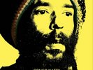 Congo Natty Jungle Revolution in Dub (Vinyl) 12