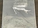 Bill Evans - Jim Hall – Undercurrent – Mobile Fidelity Sound Lab - #11647 – NEW