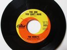 1963 Surf Girl Group The Honeys The One You Can't Have - Brian Wilson Production