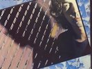 Tim Curry Fearless UK vinyl LP album record AMLH64773 A&M 1979