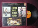 THREE SOULS IN MY MIND – CHAVO DE ONDA – VOL. IV - 1976 - LP - MEXICAN
