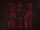 The Sisters Of Mercy First And Last And Always East West Records Vinyl LP