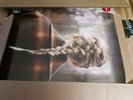 TAYLOR SWIFT EVERMORE 2 RED VINYL DISCS TARGET EXCLUSIVE SEALED 2 LPs