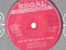 TYRANNOSAURUS REX - KING OF THE RUMBLING SPIRES - 7