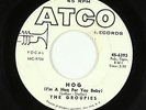 Garage 45 - Groupies - Hog - Atco