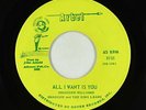 Garage 45 - Shadden & the King Lears - All I Want Is You - Arbet - VG+