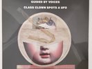 Guided By Voices – Class Clown Spots A UFO Green Coke Bottle Translucent Vinyl