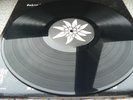 Edelweiss - Behind Our Masks LP - Black Vinyl - DARKER THAN BLACK