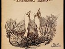 DAVID CHALMERS Primeval Road LP 1976 1st U-64109 - VG+ Vinyl  Acoustic Hard Rock