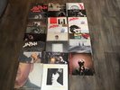 JAPAN DAVID SYLVIAN VINYL RECORD BUNDLE 24 LPS & 12” LIMITED EDITIONS COLOURED