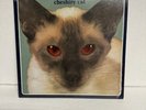 Blink-182 - Cheshire Cat, Vinyl LP Original 1996 Cargo GRL-001 Red Eyes W/Insert