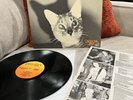 Jawbreaker - Unfun, 1990 LP Shredder Records