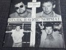The Blood - Stark Raving Normal 7