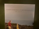 Andrew McMahon - in the Wilderness - Canyons EP 10” Yellow Vinyl Record EX Rare