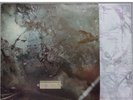 COCTEAU TWINS 