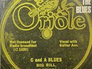 RECORDING THE BLUES   Rare 1970 UK CBS label 16-track Vinyl LP   MINT VINYL