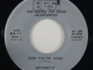 Antoinette 