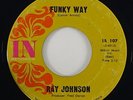 Ray Johnson 