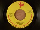 NRBQ  Ridin' In My Car/Do The Bump  Rock & Roll  1977 Red Rooster