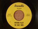 The Only Ones  Another Place/Can't Trust A Woman  RARE TX Garage  1967 Brumble