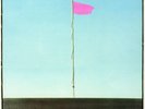 Wire Pink Flag (Vinyl) 12