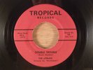 The Offbeets Double Trouble/She Lied RARE  FL Garage, Beat 1964 Tropical Records