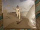 Declan McKenna What Happened To The Beach? Alternate Cover Blue Vinyl LP