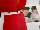 The Beatles 1962-1966 'The Red Album' 2LP Ltd RED Vinyl w/ poster Mint, UNPLAYED