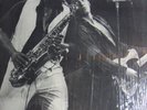 BRUCE SPRINGSTEEN - THE GREAT WHITE BOSS (2 LPs) - US 76 - MINT-NM