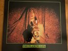 The Flaming Lips: Self-Titled 1984 EP--Rare GREEN Vinyl--Lovely Sorts of Death