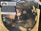 Elf S/T Self Titled Debut Ronnie James Dio Picture Disc Rare Vinyl LP